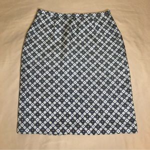 Ann Taylor 100% Silk Skirt Size 4